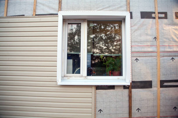 Siding Removal and Disposal in Winnebago, IL