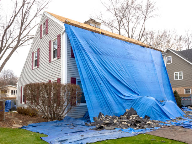 Best Brick Veneer Siding  in Winnebago, IL