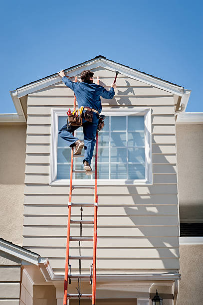 Best Stone Veneer Siding  in Winnebago, IL